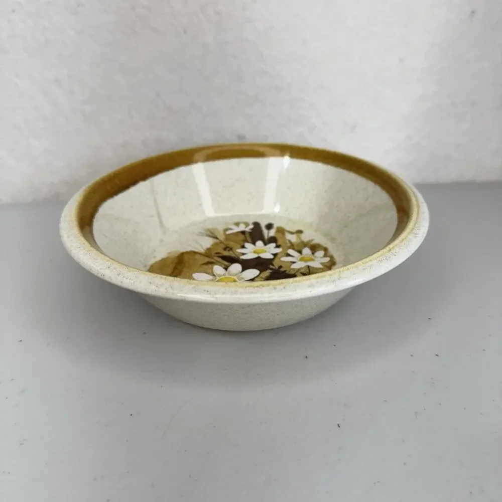Lot of 5 Mikasa Daisy Mae Stone Manor Plates & Bowls Set MCM Floral Brown Japan